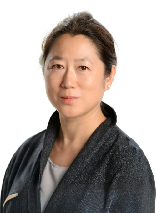 Dr. Lan Ma